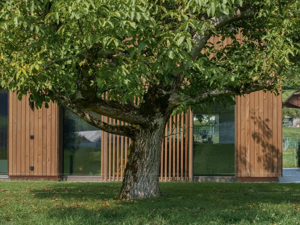Modernes Wohnen mit Galerie, Garten und eigener Tiefgarage (Mittelhaus)