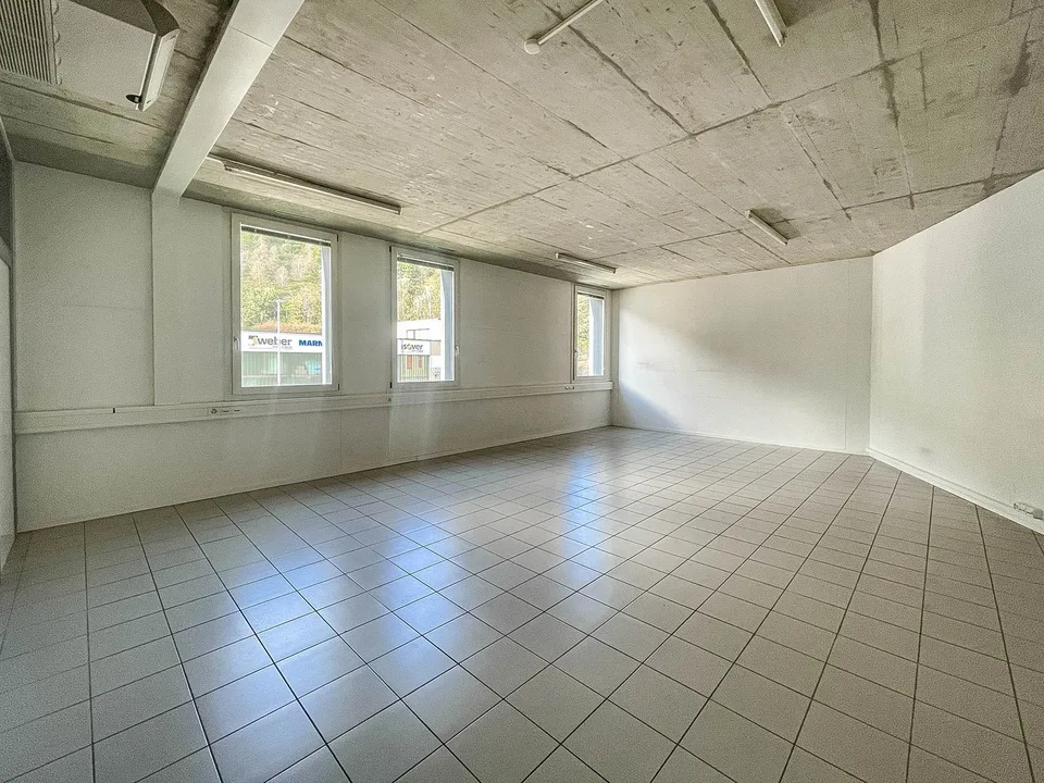 Großes Büro in Mezzovico