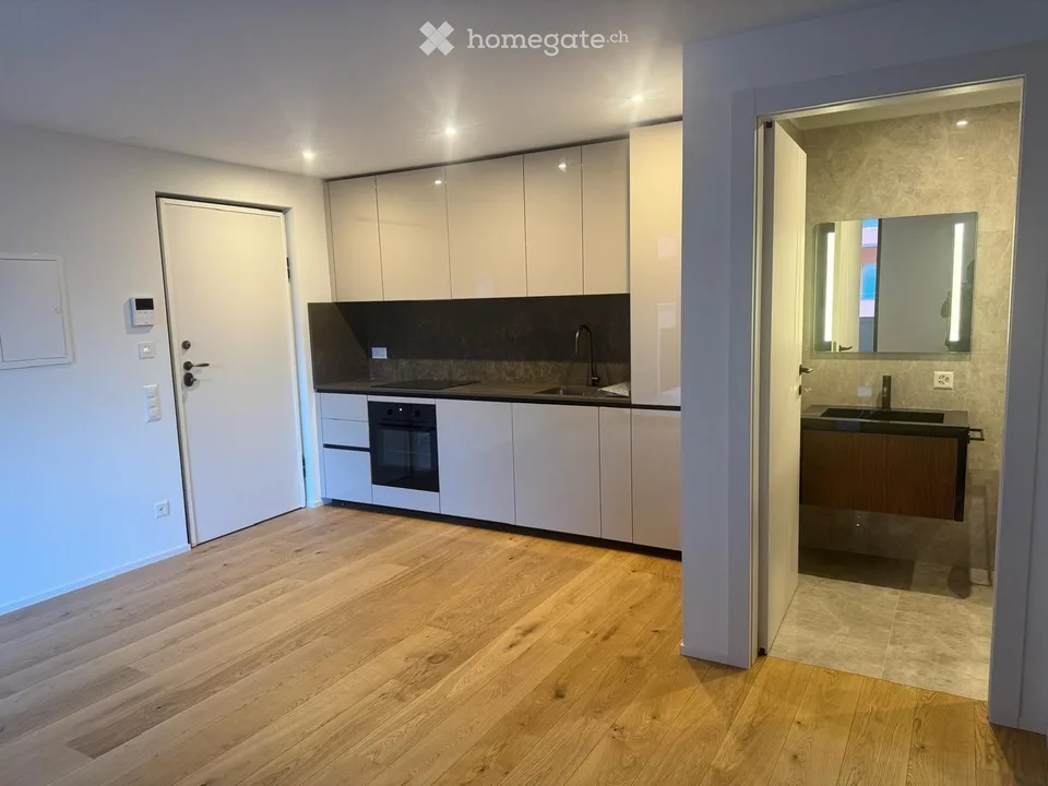 Élégant 2.5 pièces avec terrasse à Biasca (TI)