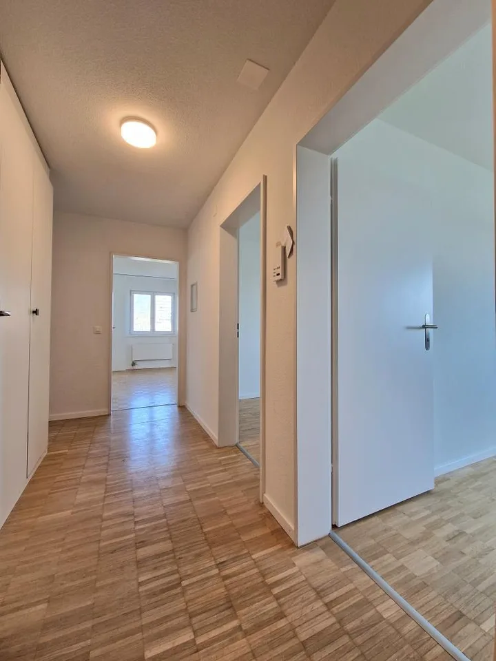 Appartamento ristrutturato di 3 camere, molto accogliente – foto 9 di 11