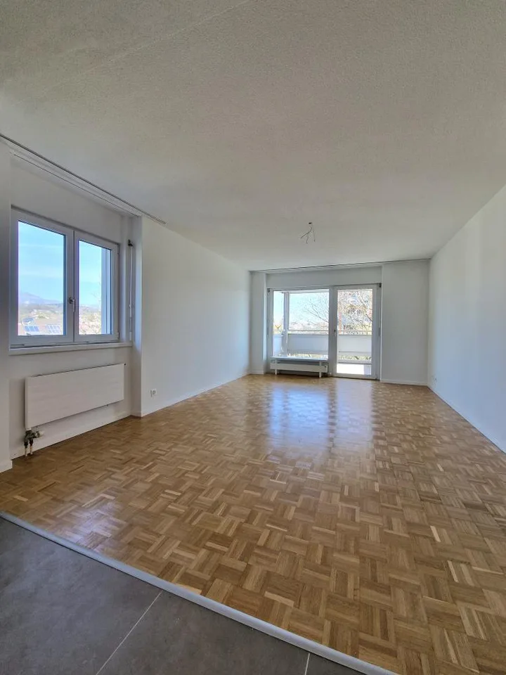 Appartamento ristrutturato di 3 camere, molto accogliente