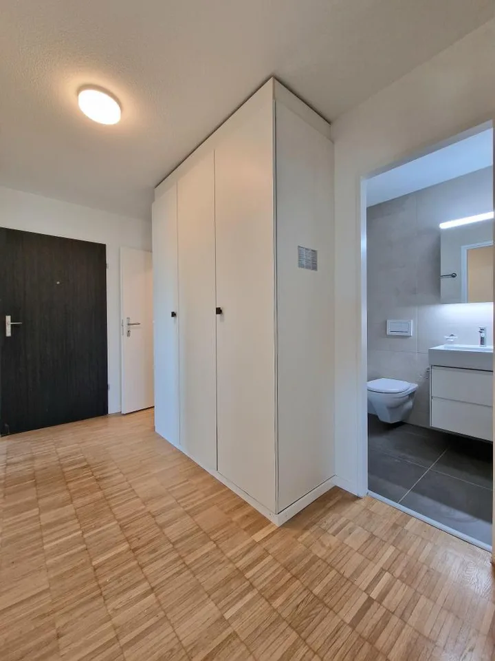 Appartamento ristrutturato di 3 camere, molto accogliente – foto 10 di 11