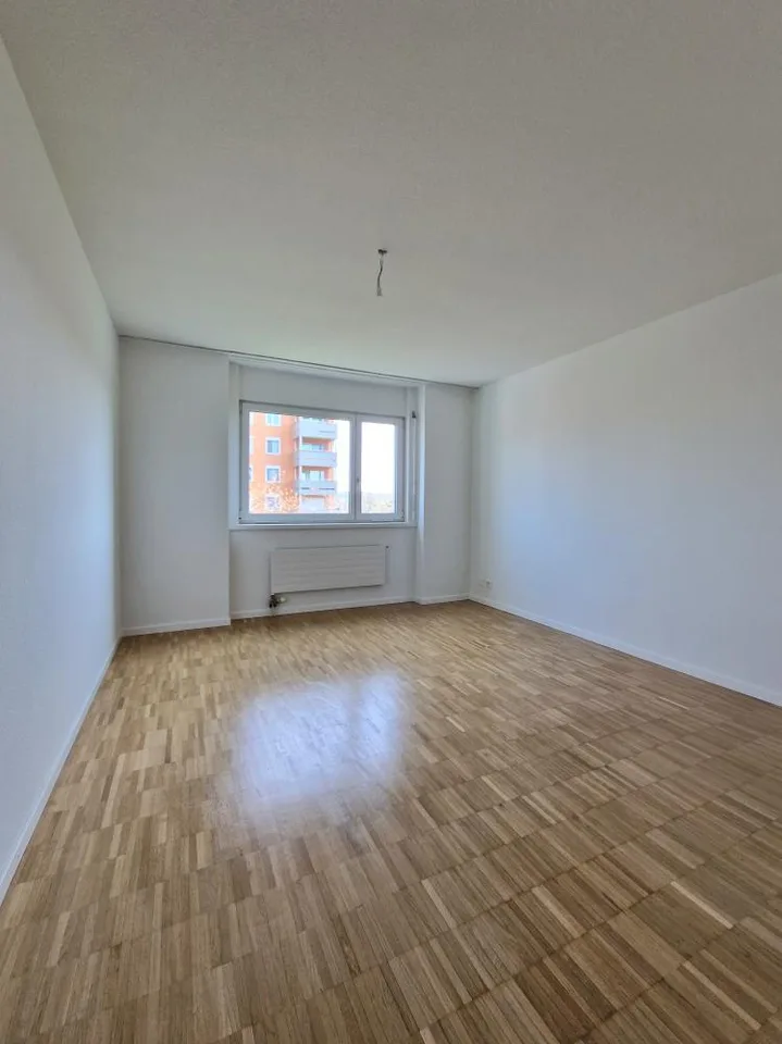 Appartamento ristrutturato di 3 camere, molto accogliente