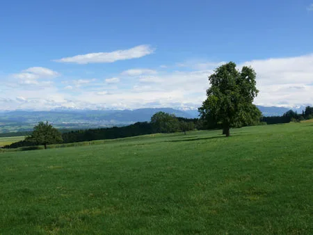 Restaurant Strebel in Geltwil zu vermieten