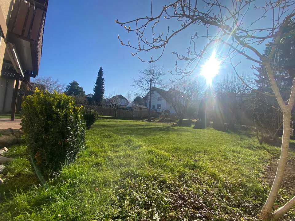 Oasi nel verde