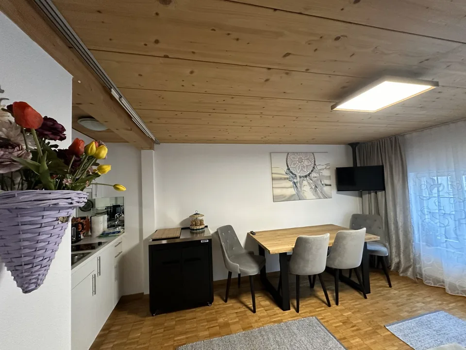 Appartamento arredato 2 locali in posizione centrale a Zug