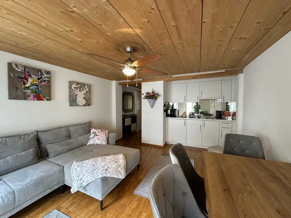 Business Apartment im Herzen von Zug