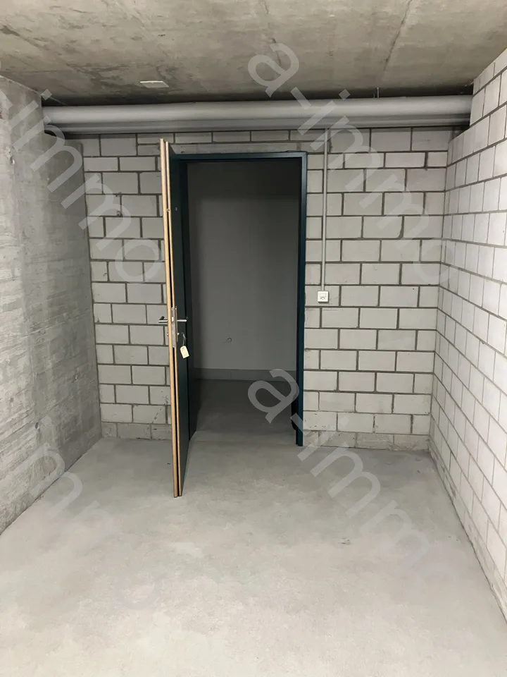Dispersion room / hobby room / craft room for rent in Reinach