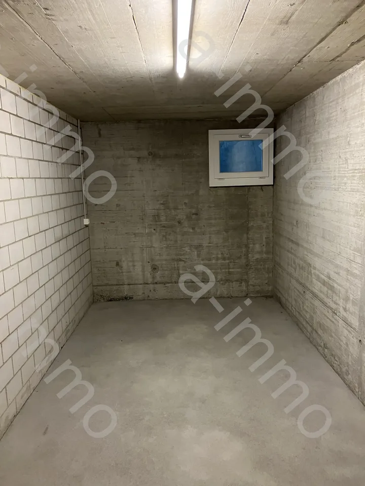 Disporaum / Hobbyraum / Bastelraum in Reinach zu vermieten