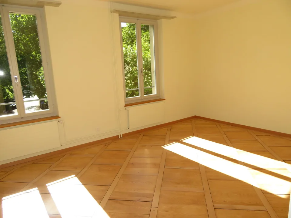 Appartement spacieux et fraîchement rénové à louer