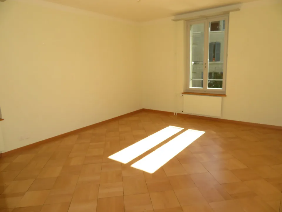 Appartement spacieux et fraîchement rénové à louer