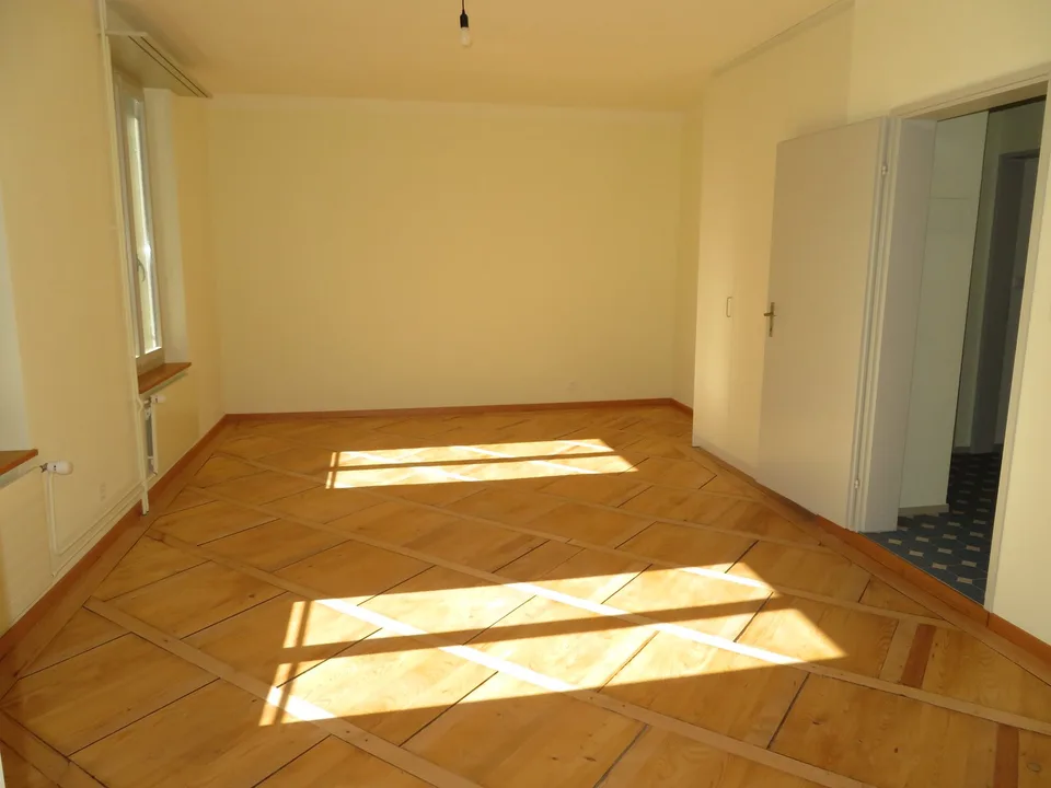 Appartement spacieux et fraîchement rénové à louer