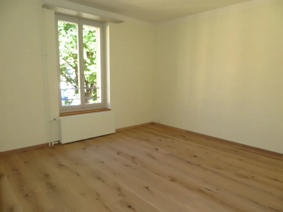 Appartement spacieux et fraîchement rénové à louer
