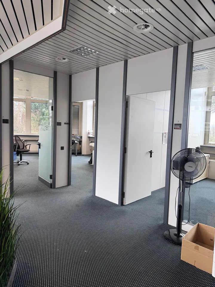 Espace commercial flexible pour une entreprise ambitieuse