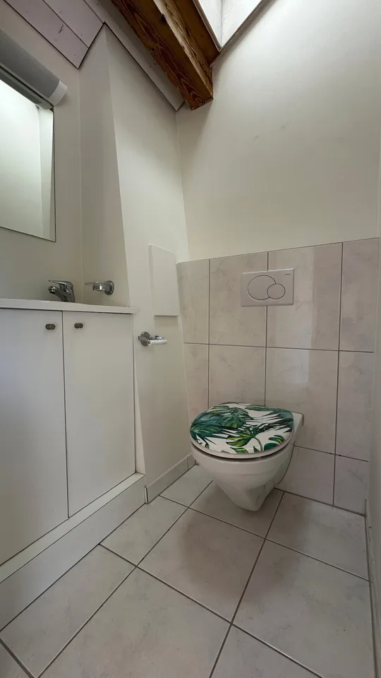 Grosse/Loft (offene) 1.5-Zimmer-Dachwohnung Nähe Triemli zu vermieten – Foto 12 von 12