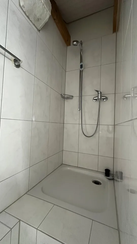 Grosse/Loft (offene) 1.5-Zimmer-Dachwohnung Nähe Triemli zu vermieten – Foto 11 von 12
