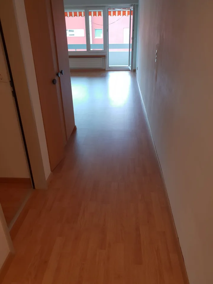 Delizioso appartamento di 1,5 locali!
