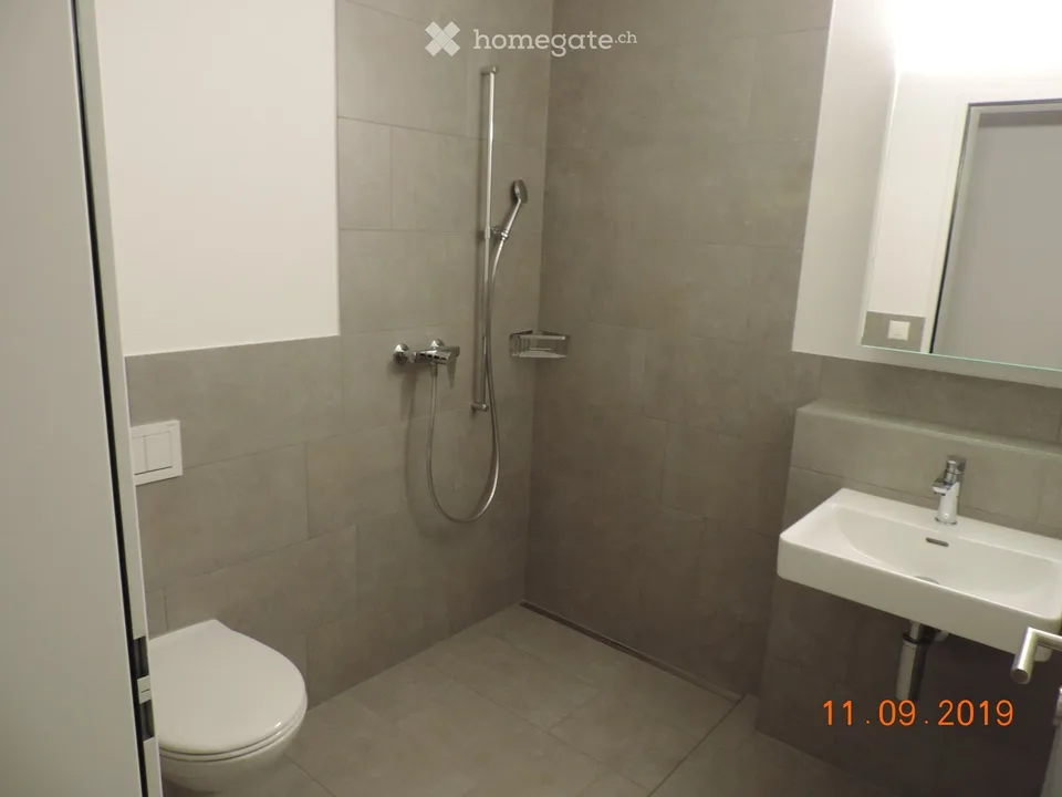 4,5 Zimmer Wohnung In Alpnach