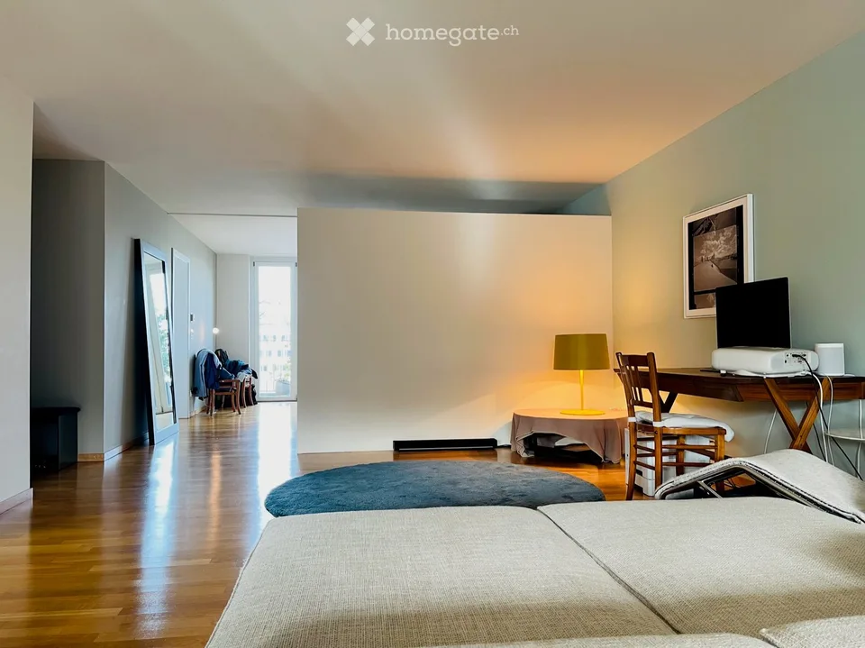 Ampio appartamento loft con 2 grandi terrazze
