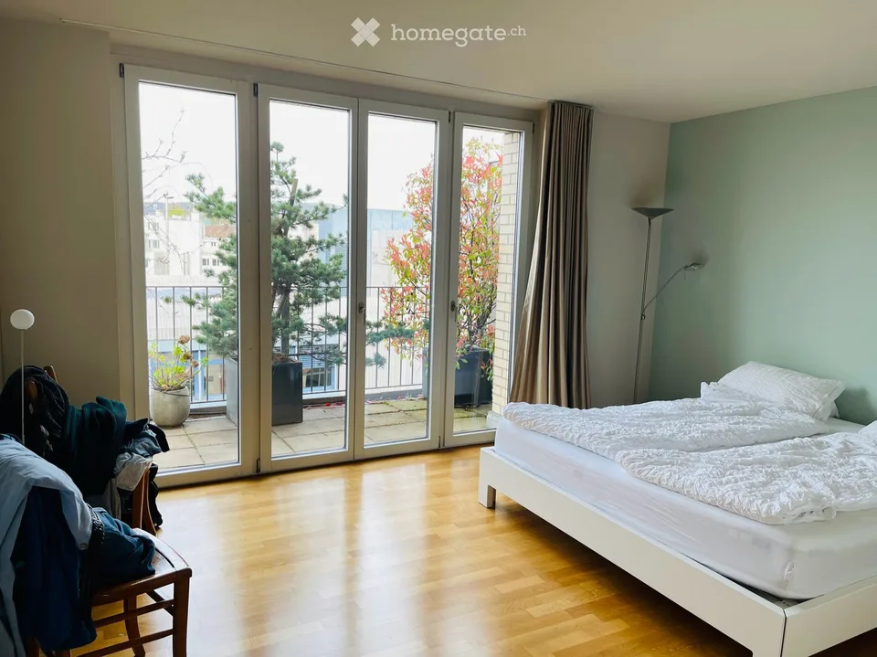 Ampio appartamento loft con 2 grandi terrazze