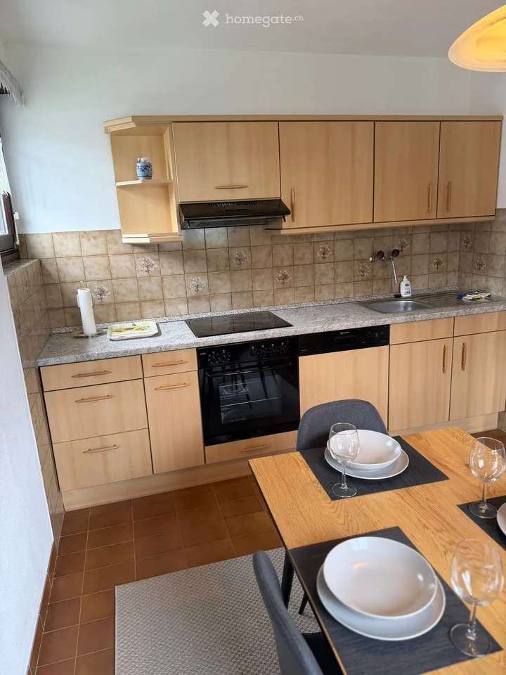Wohnung 3 Zimmer möbliert mit Garten Dino (Lugano)