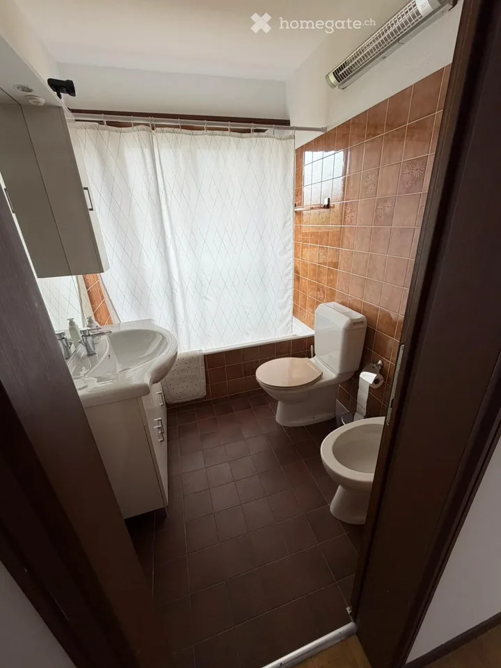 Wohnung 3 Zimmer möbliert mit Garten Dino (Lugano)