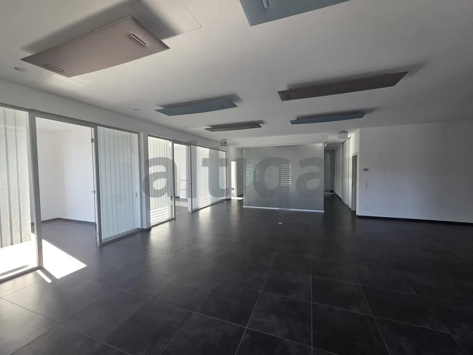 Bureaux à louer à Manno Centre Ambrosart B