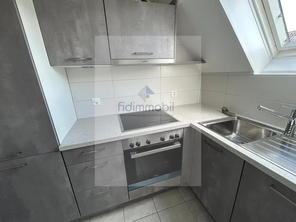 APPARTEMENT RENOVE DANS QUARTIER CALME