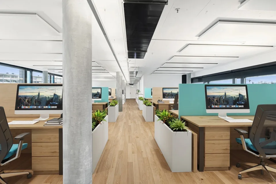 Wachstum beginnt hier: Ideal für Büro, Praxis oder Schule!