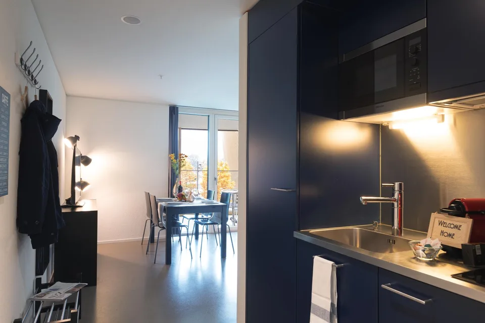 Moderne, möblierte 2-Zimmer-Wohnung mit Balkon in Luzern