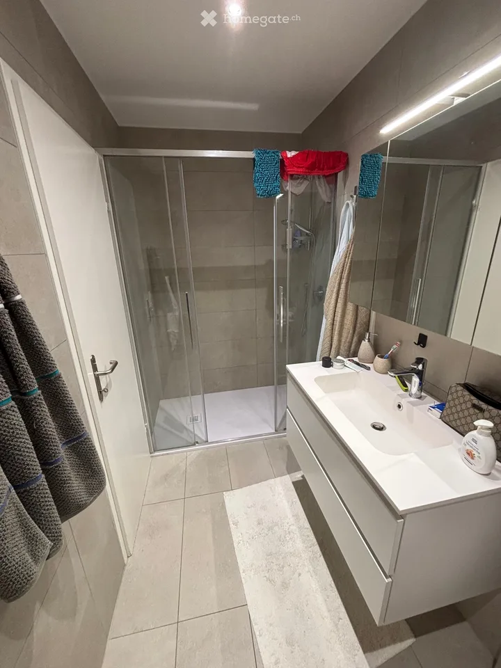 3.5 Room Apartment in Central Lugano