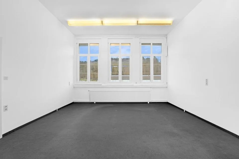 Unternehmerische Perspektiven für Büronutzung, Lagerfläche, Praxis, Atelier in Bischoffszell