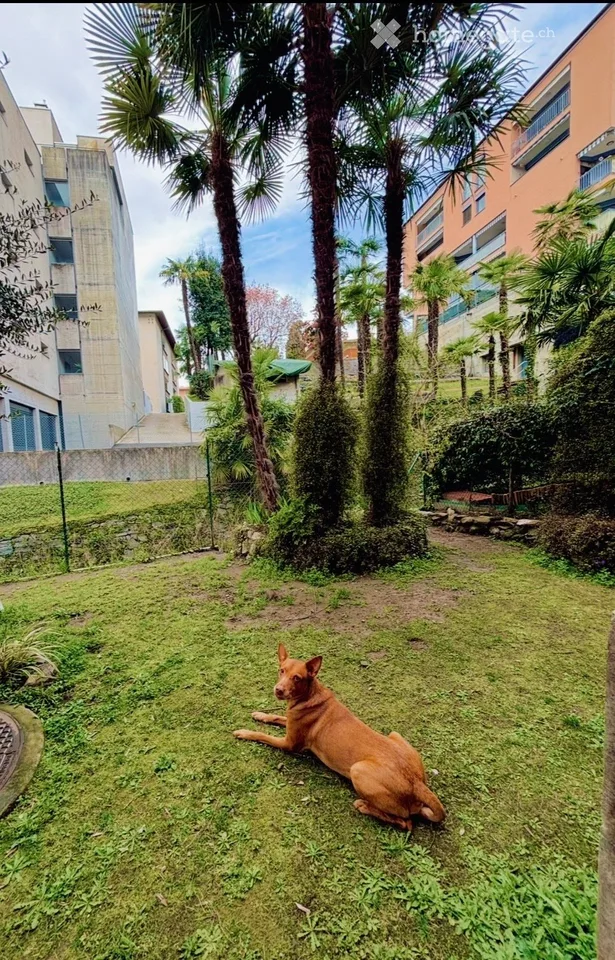2 locali con giardino privato e grande terrazza coperta
