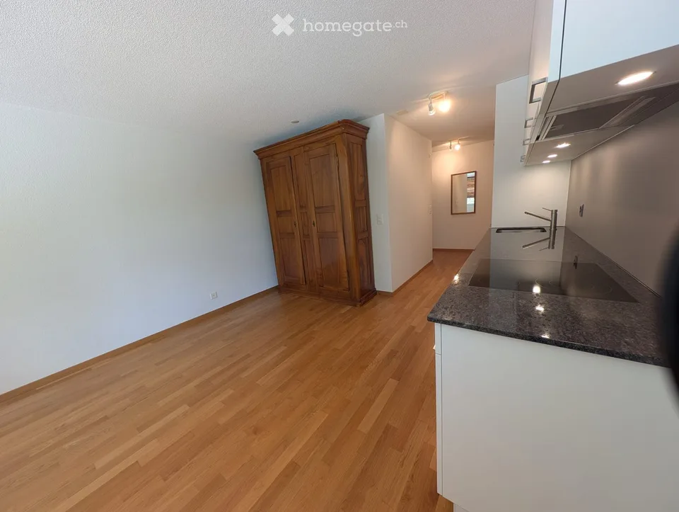 Incantevole appartamento di 2 camere a Lüsslingen – disponibile immediatamente!