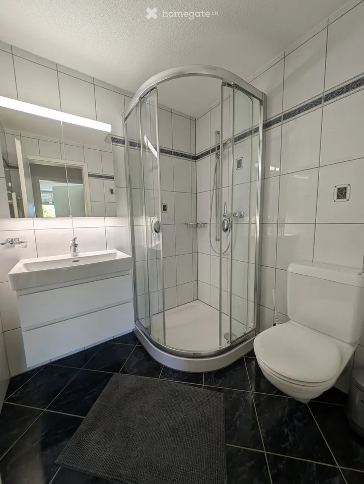 Incantevole appartamento di 2 camere a Lüsslingen – disponibile immediatamente!