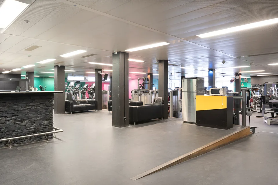 Gewerbefläche mit Tageslicht und vielen Möglichkeiten ca. 750 m²!