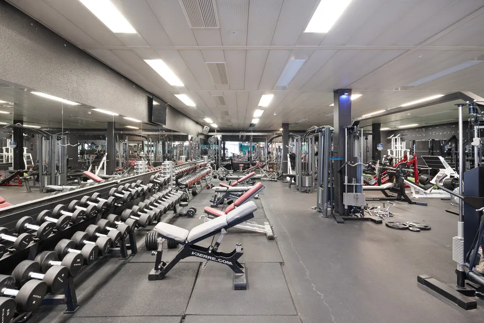 Gewerbefläche mit Tageslicht und vielen Möglichkeiten ca. 750 m²!