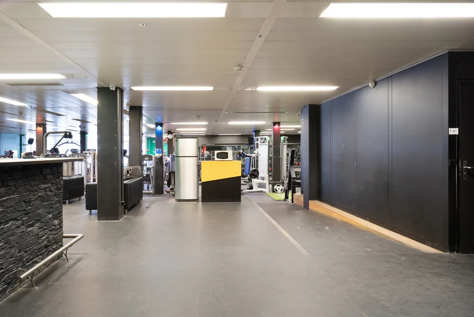 Gewerbefläche mit Tageslicht und vielen Möglichkeiten ca. 750 m²!