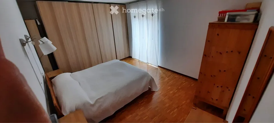 Affittasi spazioso appartamento a Villa Luganese
