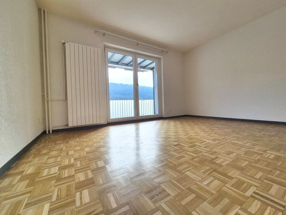 Appartement de 2 pièces avec grand balcon et ascenseur!