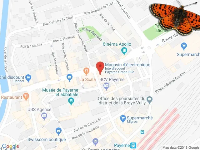 Vitrine im Zentrum der Grand-Rue in Payerne