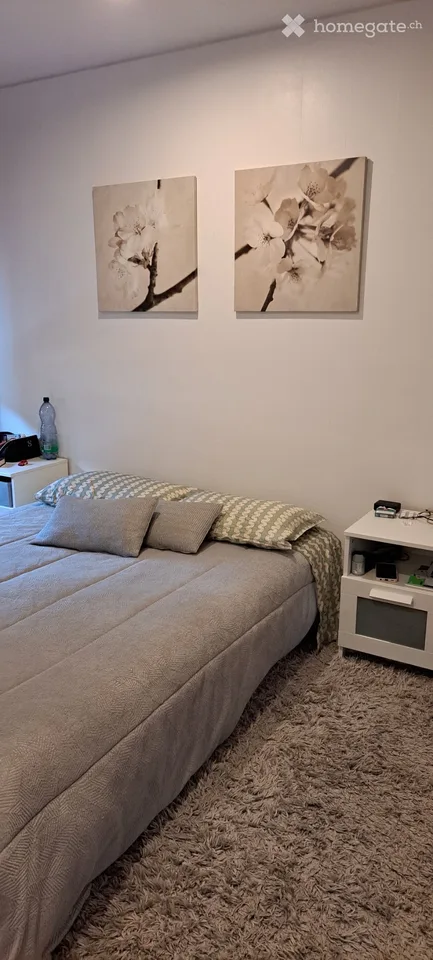 2.5-Zimmer-Wohnung im Zentrum von Brig