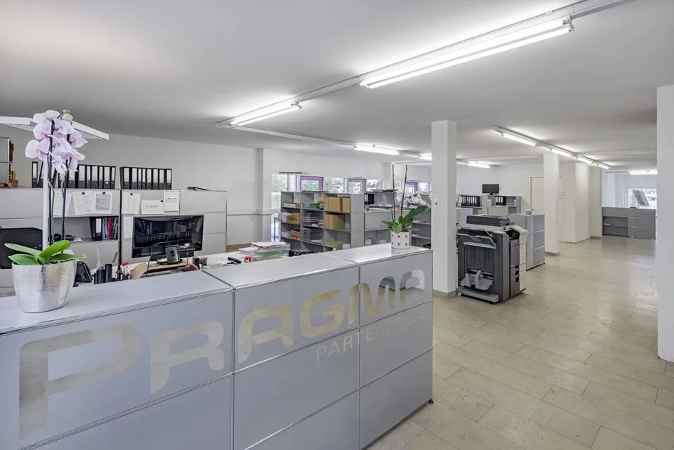 BUREAU / SHOW-ROOM / ATELIER – photo 13 sur 18