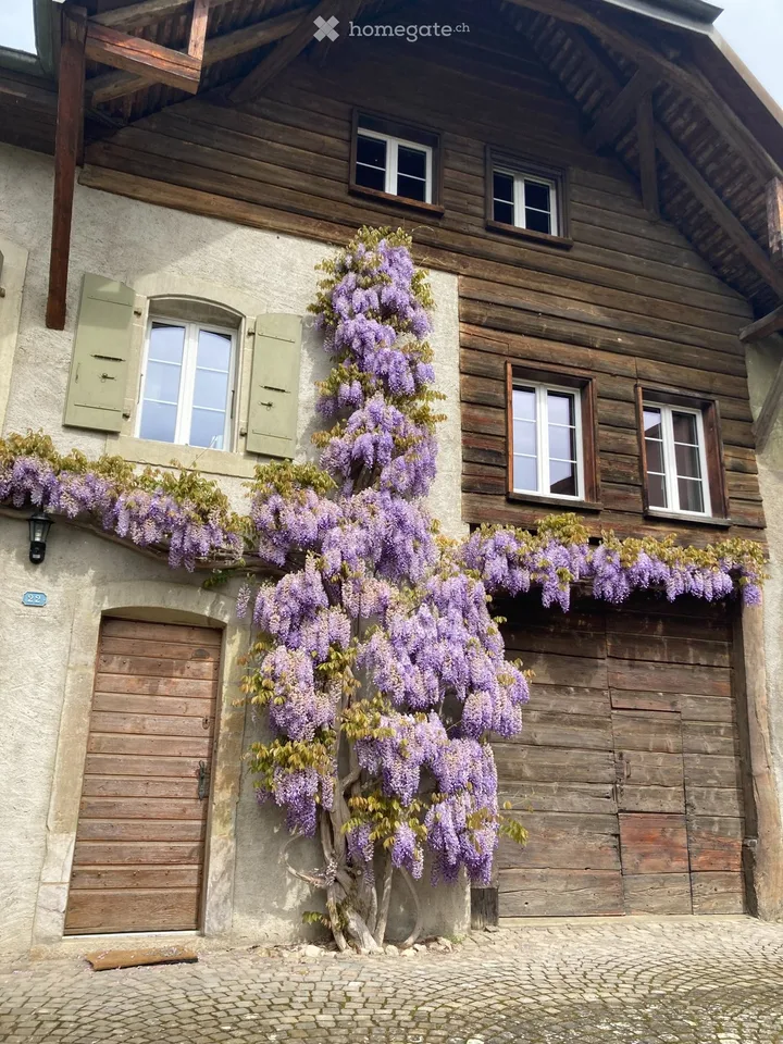 Charmant appartement mansardé de 5.5 pièces à Tolochenaz