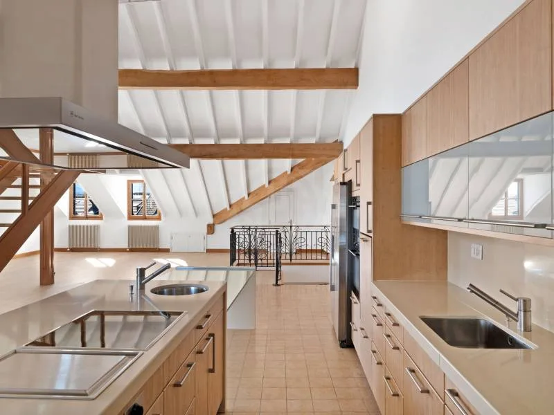Exceptional Apartment - Geneva