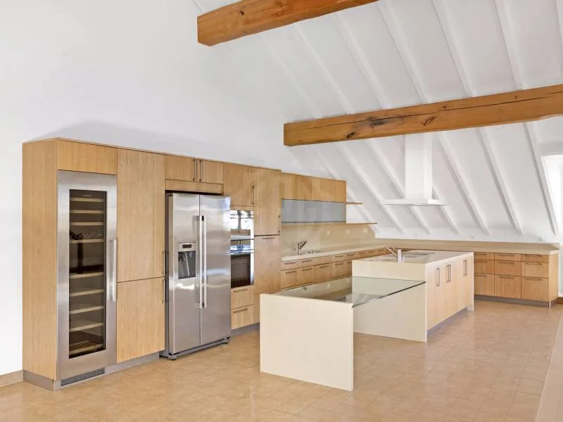 Exceptional Apartment - Geneva