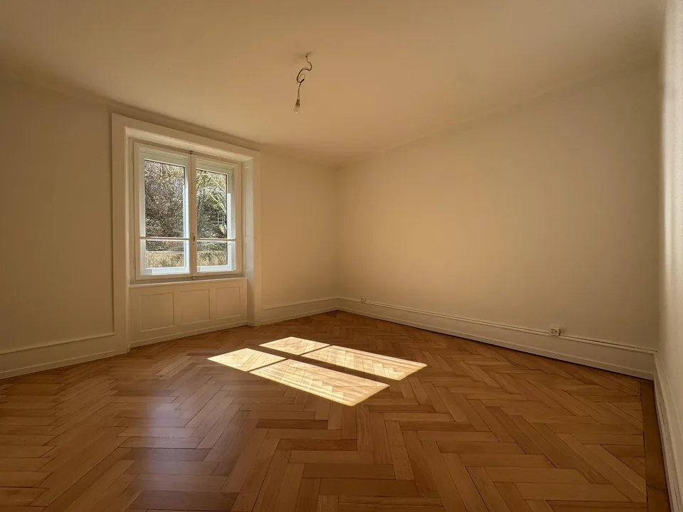 Bell'appartamento di 4.5 locali ristrutturato con parquet a forma di losanga ? 1° affitto offerto