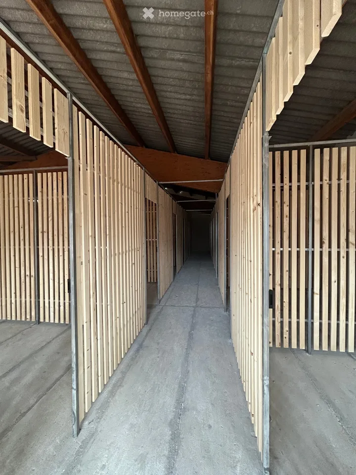 Comparti di soffitta in affitto a Fällanden