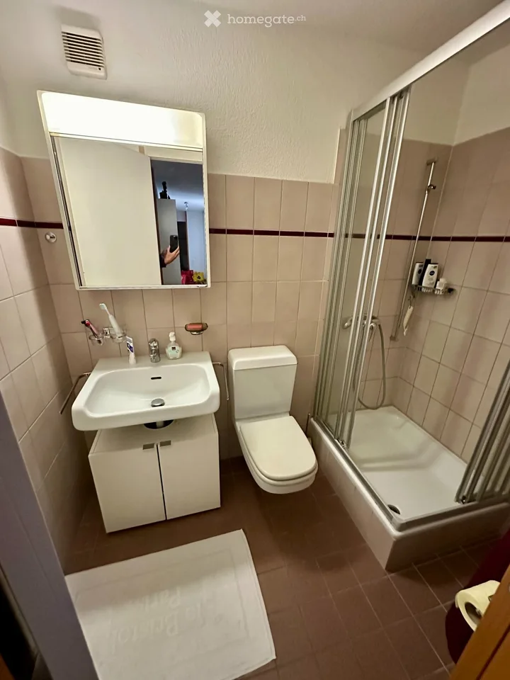 1 furnished room for subletting, close to Zürich HB