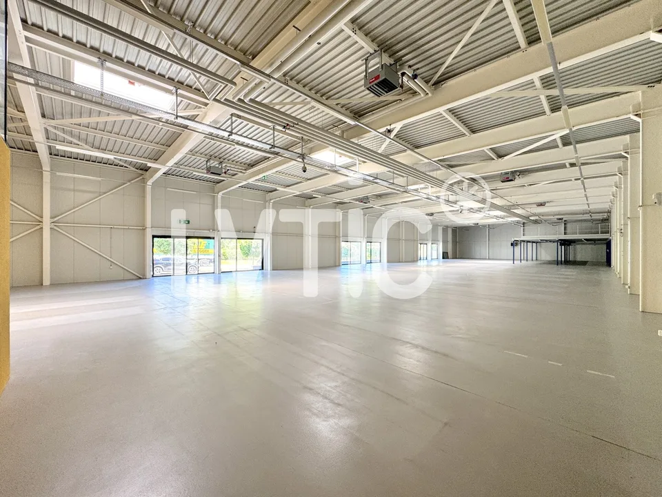 Locaux, showrooms, dépôts de 1000 m2 à louer à Yverdon